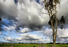 开云-全运会 | 田径收官：苏炳添告别 莫家蝶三金