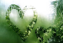 开云APP下载-全运会｜张展硕成就“五金王” 汪顺收获全运会第19金