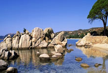 开云-全运会｜王曼昱因伤退出十五运会乒乓球项目后续比赛